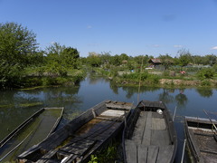 Les Marais de Bourges, Bourges