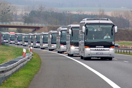 Sindbad firma autobusowa Polska tanie bilety autobusowe rezerwacja