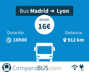 Bus económico madrid a lyon