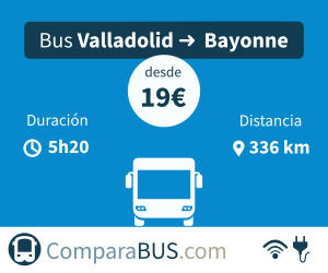 Bus económico valladolid a bayonne