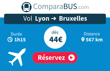 Vol lyon bruxelles pas cher