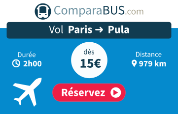 Vol paris pula pas cher