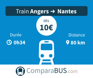 Train angers nantes pas cher