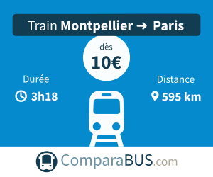 Train montpellier paris pas cher