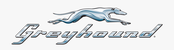 Greyhound bus company